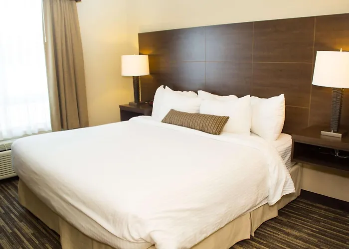 Best Western Plus Dartmouth Hotel & Suites